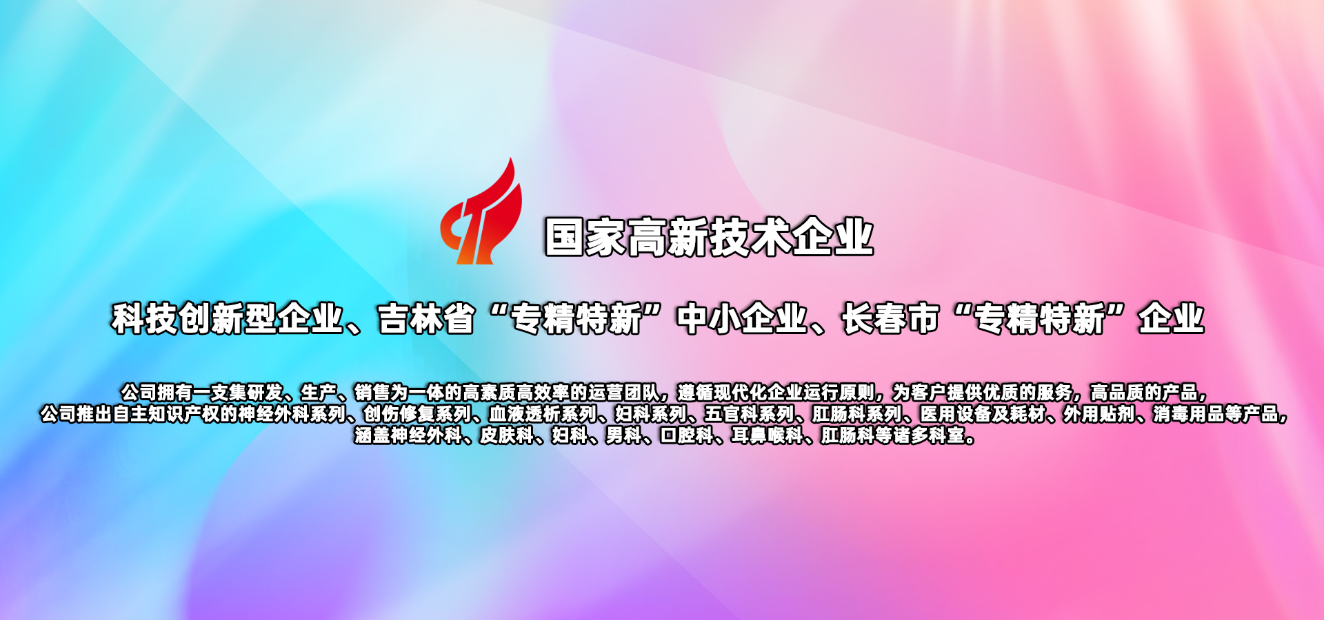 國家高新技術(shù)企業(yè)
