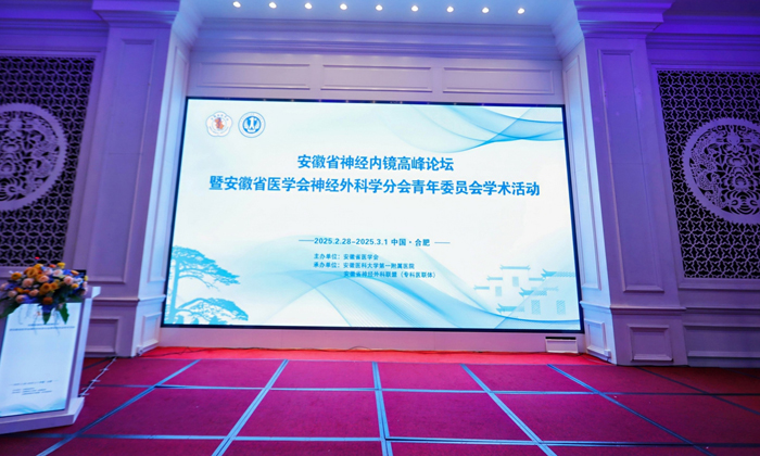 聚焦前沿，共話未來：萊沃醫(yī)療助力安徽省神經(jīng)內(nèi)鏡高峰論壇