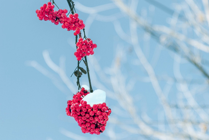 【萊沃醫(yī)療：知識(shí)分享】今日小雪，快“藏”好這份健康秘籍！